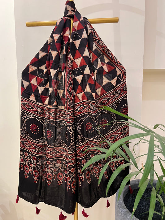 AJRAKH MODAL SILK